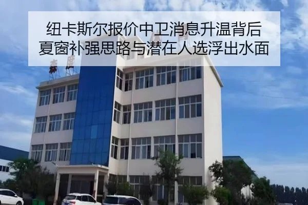 纽卡斯尔报价中卫消息升温背后 夏窗补强思路与潜在人选浮出水面